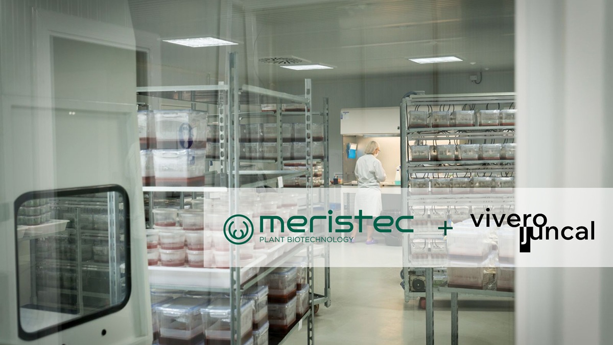 Nota de prensa Meristec